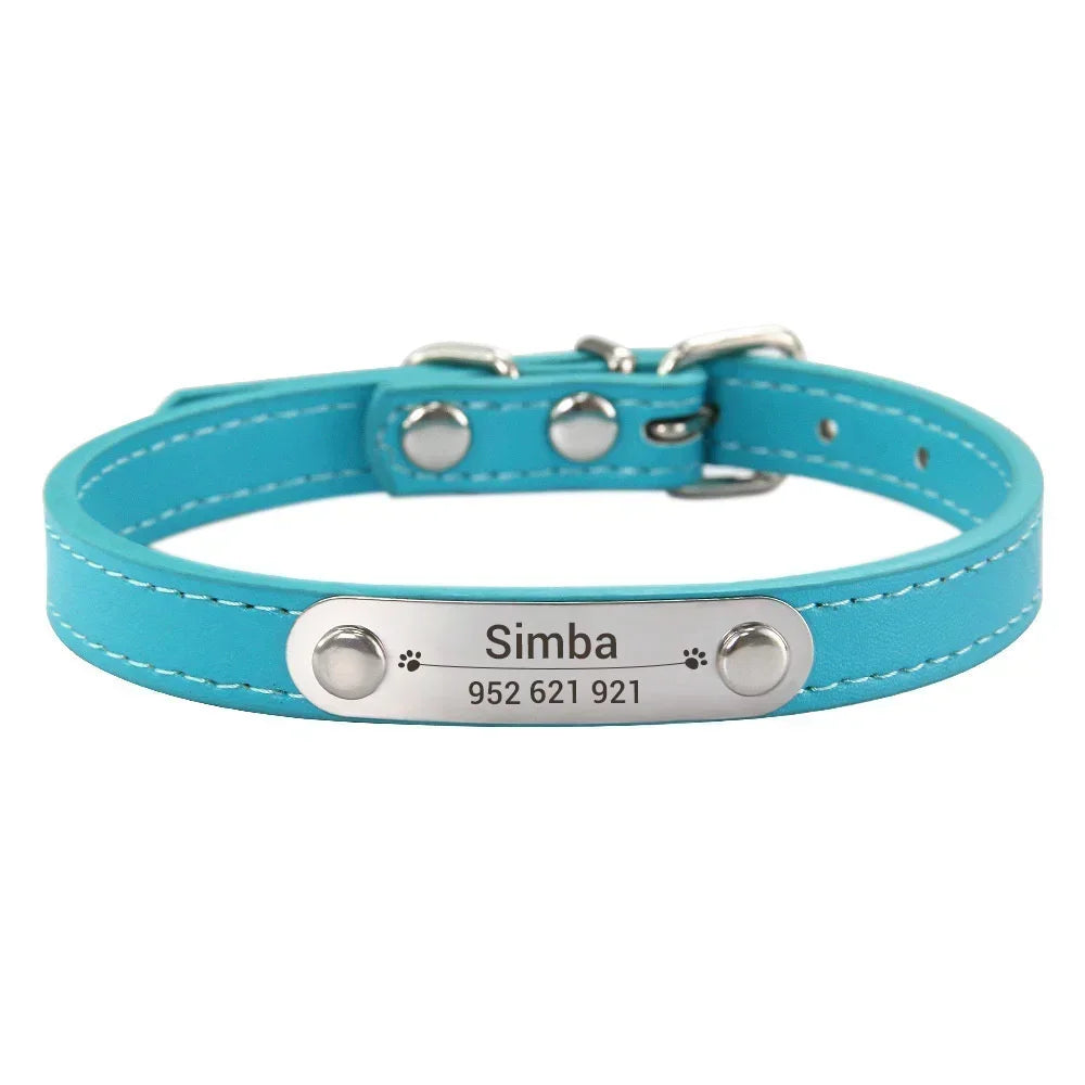 Cat and Dog Collar With Name