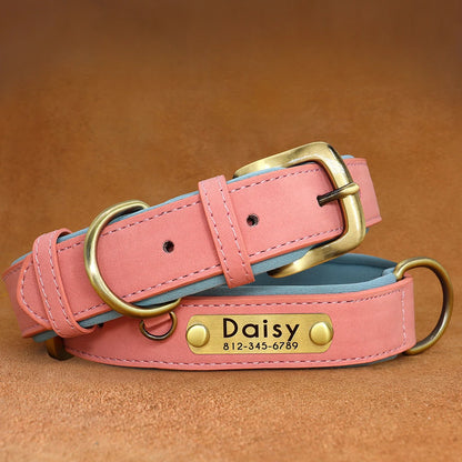 Personalised Dog Collars