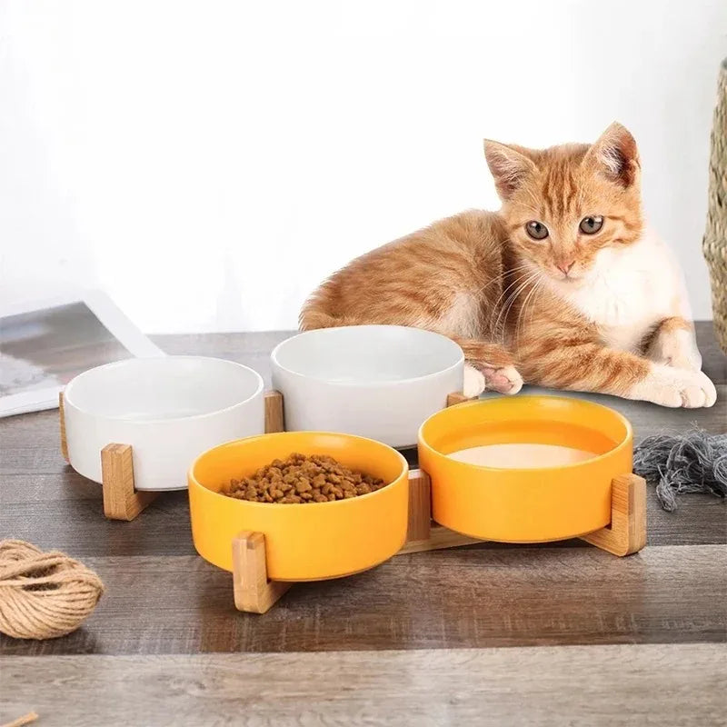 Easy washable ceramic pet bowl