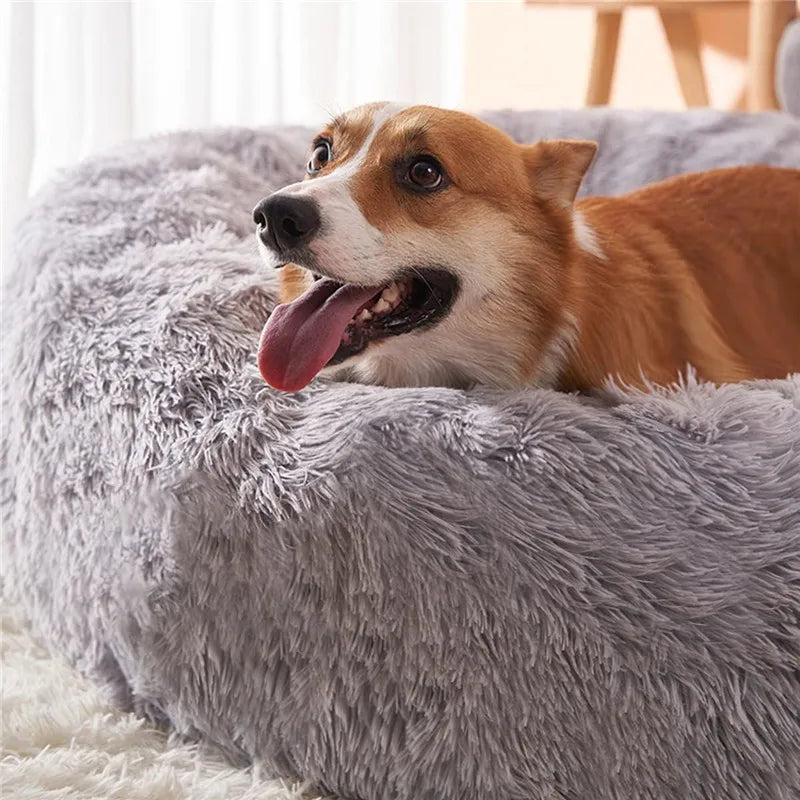 Large Dog Beds - Soft Round Plush