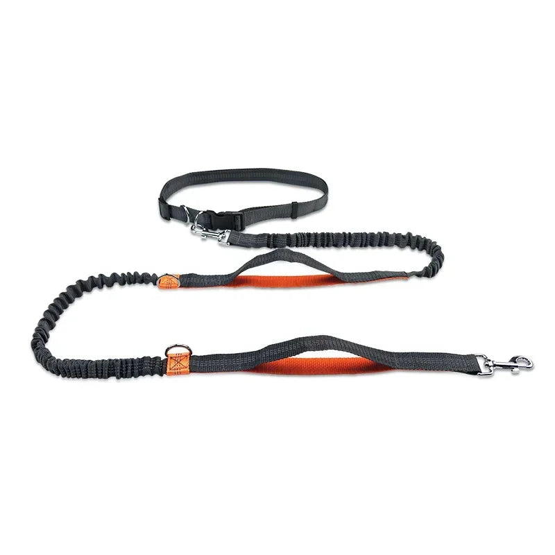 Extendable Hands Free Dog Leash