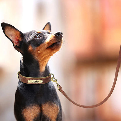 Leather Dog Collars and Leash Set