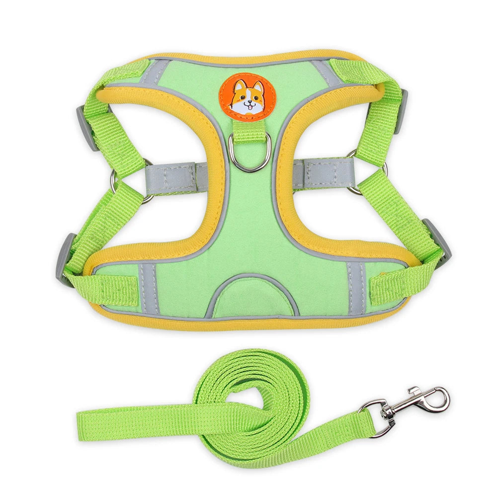 No Pull Dog Harness and Leash Australia