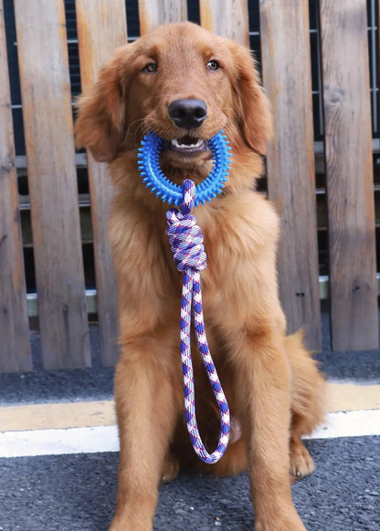 Dog Tug Toy - Teeth Cleaning Ring