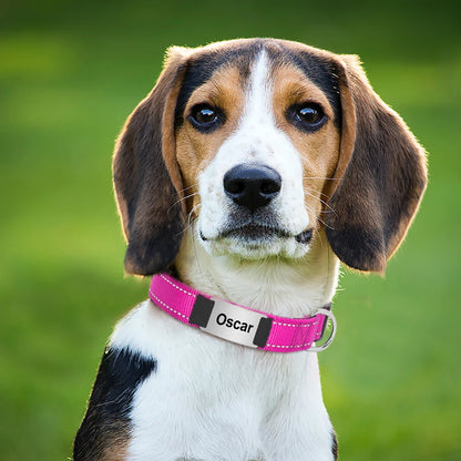 Personalized Reflective Dog Collars