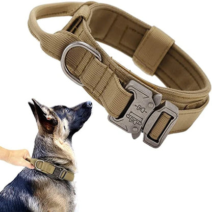 Dog Collars Australia Military-Grade