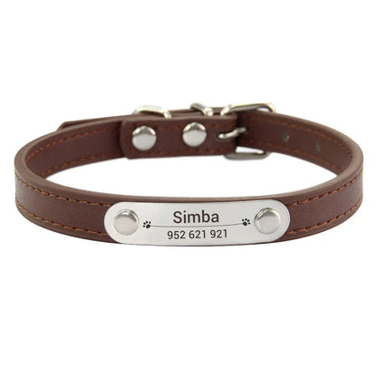 Cat and Dog Collar With Name