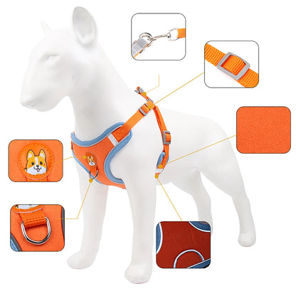 No Pull Dog Harness and Leash Australia