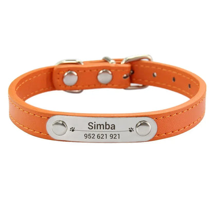 Cat and Dog Collar With Name