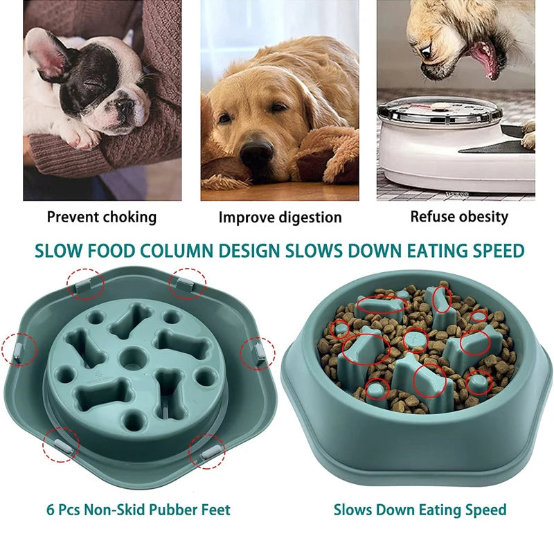 Dog Slow Feeding Bowl for Better Health