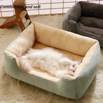 Dog Beds Australia - Cozy Cushions and Baskets