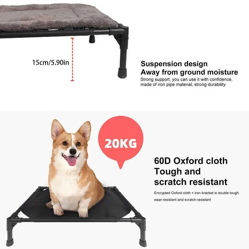 Elevated Dog Bed for Outdoor Camping