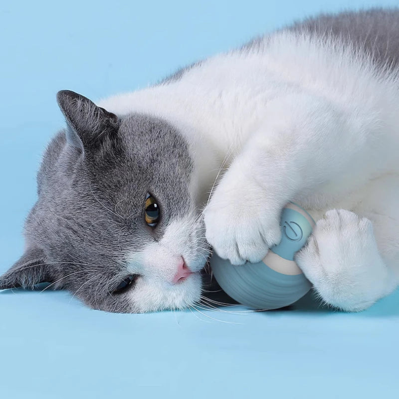 Interactive Cat Toys - Rolling Magic Ball