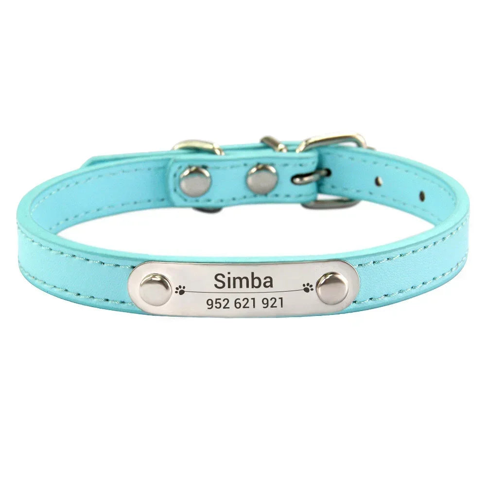 Cat and Dog Collar With Name