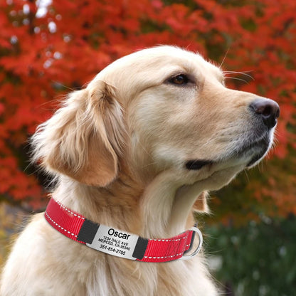 Personalized Reflective Dog Collars