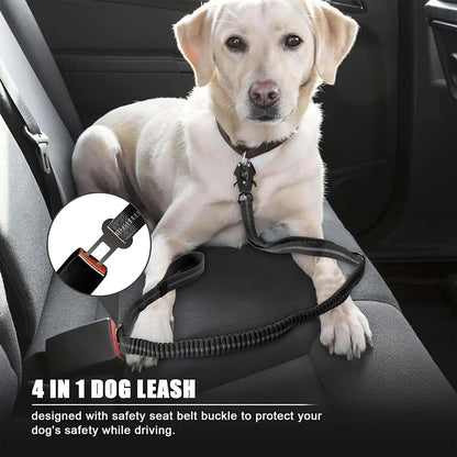 Dog Training Leads and Leashes with Car Seatbelt Attachment