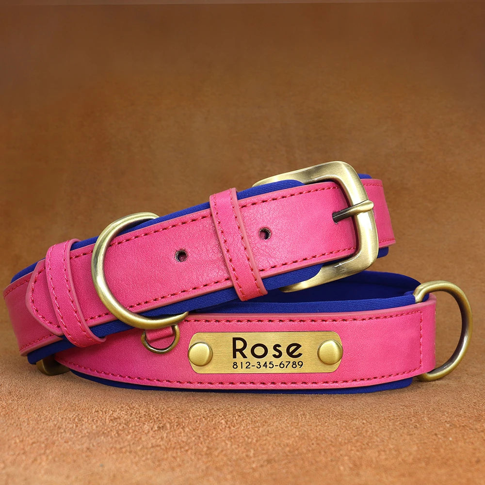 Personalised Dog Collars