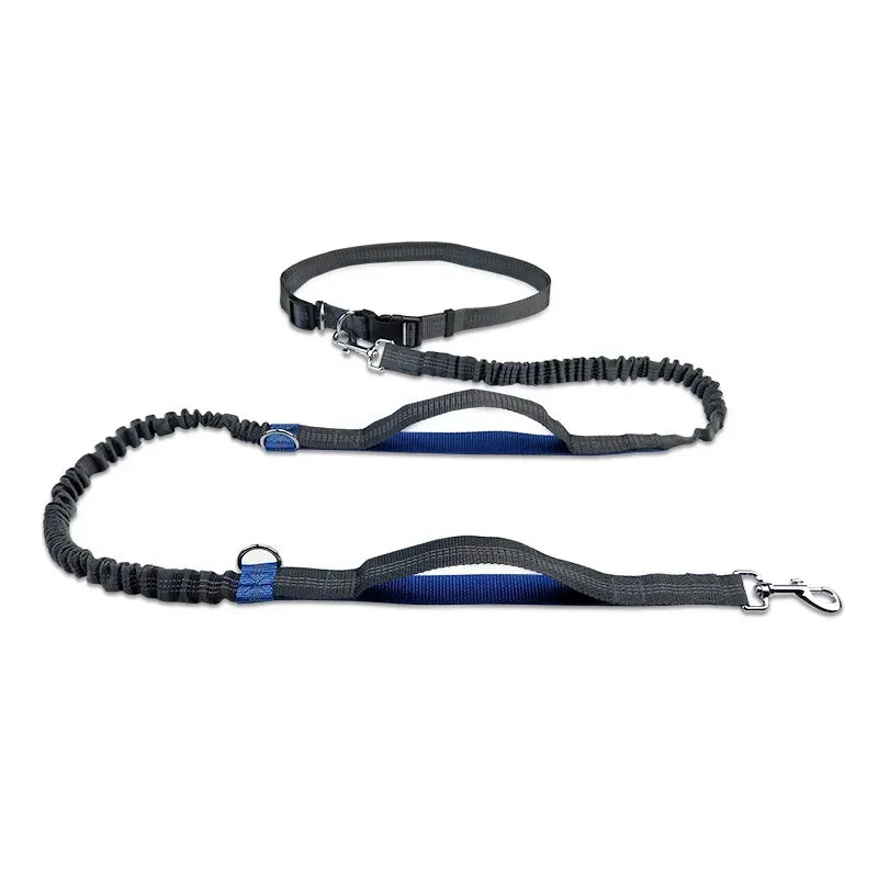 Extendable Hands Free Dog Leash