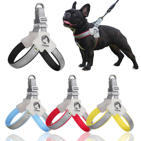 Dog Car Harness