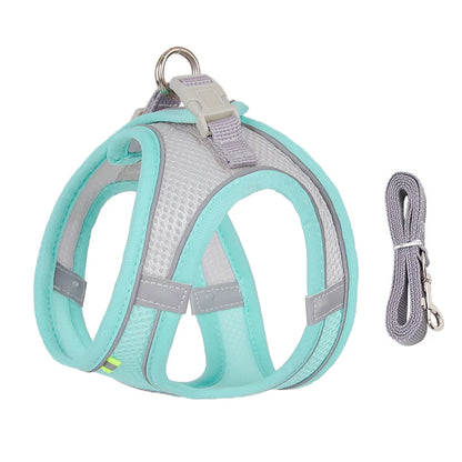 Dog lead and harness combo