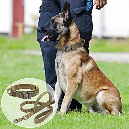 Dog Collars Australia Military-Grade