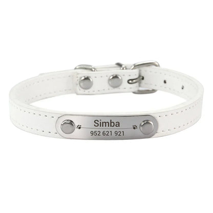 Cat and Dog Collar With Name