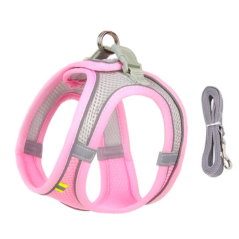 Dog lead and harness combo