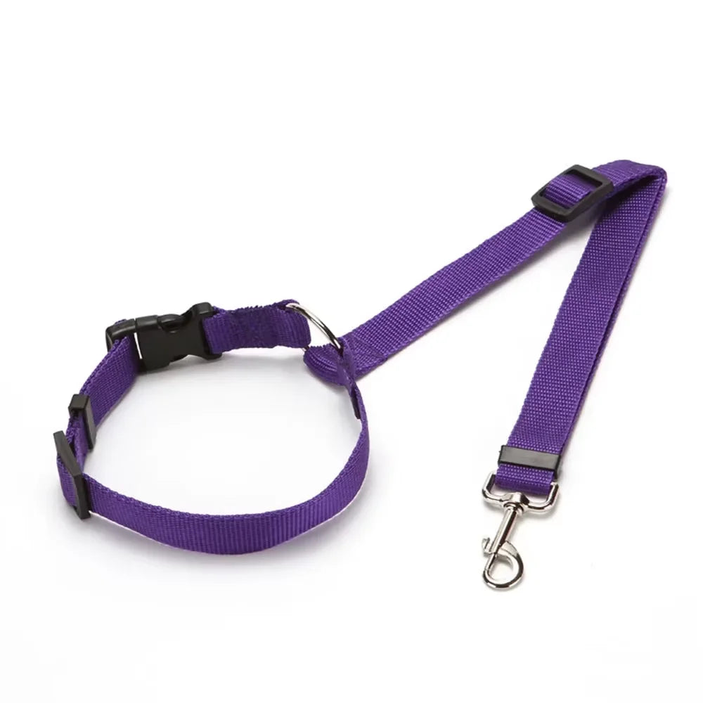 Dog Car Seat Belt and Leash