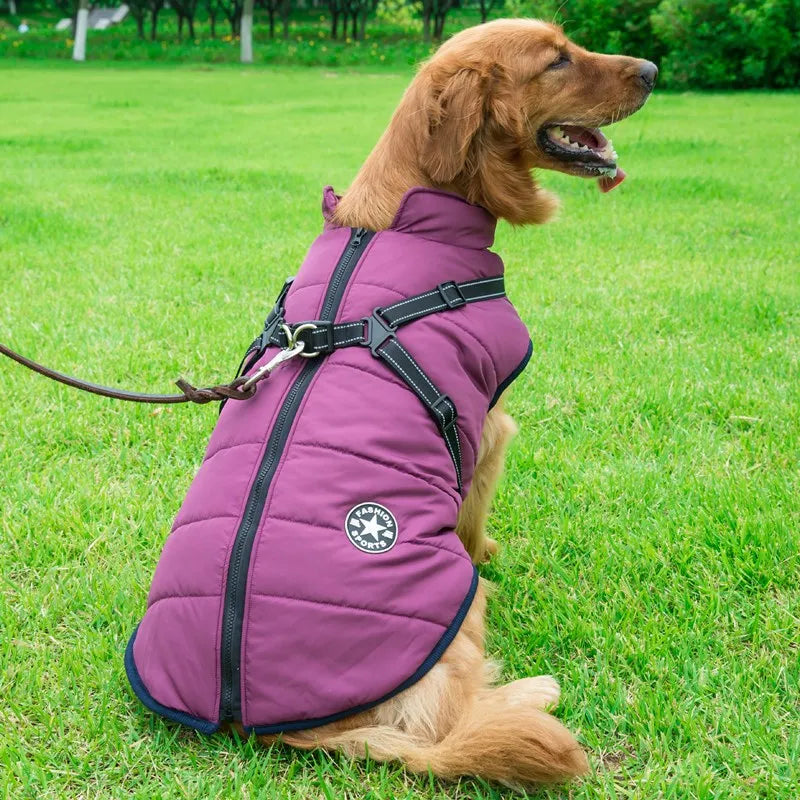 Dog Winter Coat with Harness