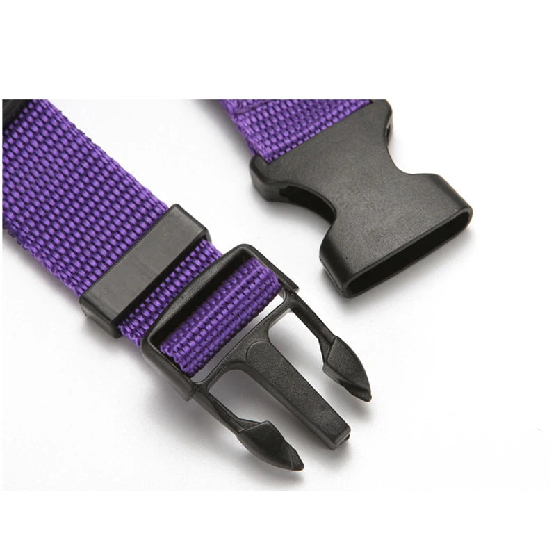 Dog Car Seat Belt and Leash