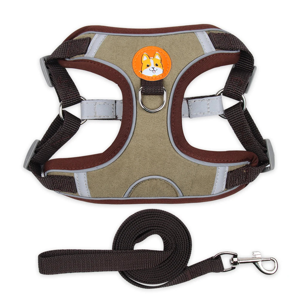 No Pull Dog Harness and Leash Australia