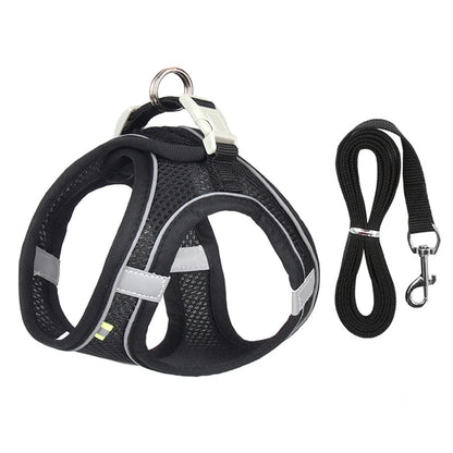 Dog lead and harness combo