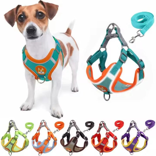 No Pull Dog Harness and Leash Australia