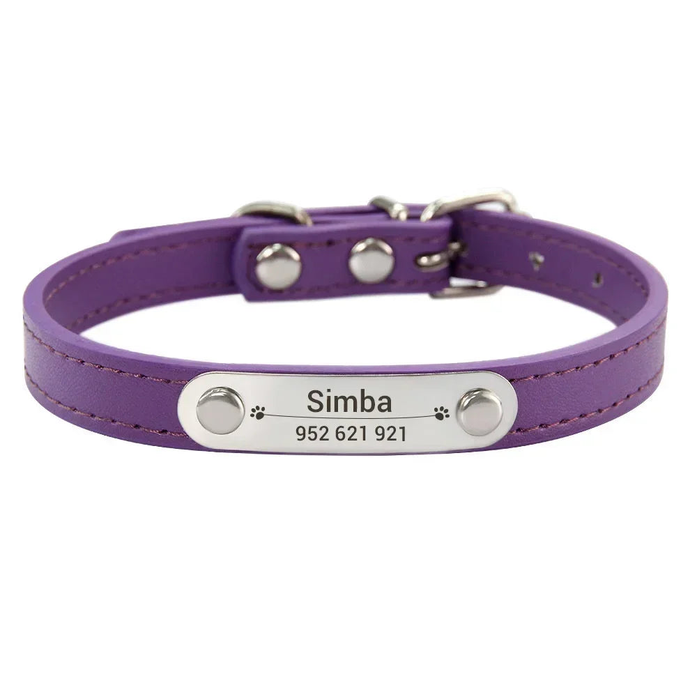 Cat and Dog Collar With Name