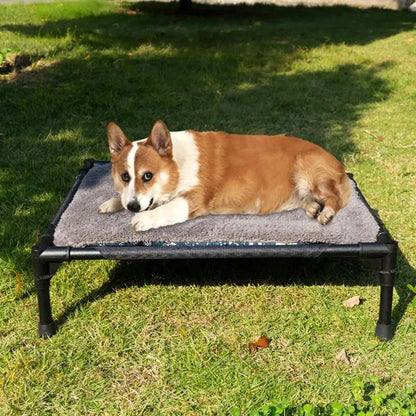 Elevated Dog Bed for Outdoor Camping