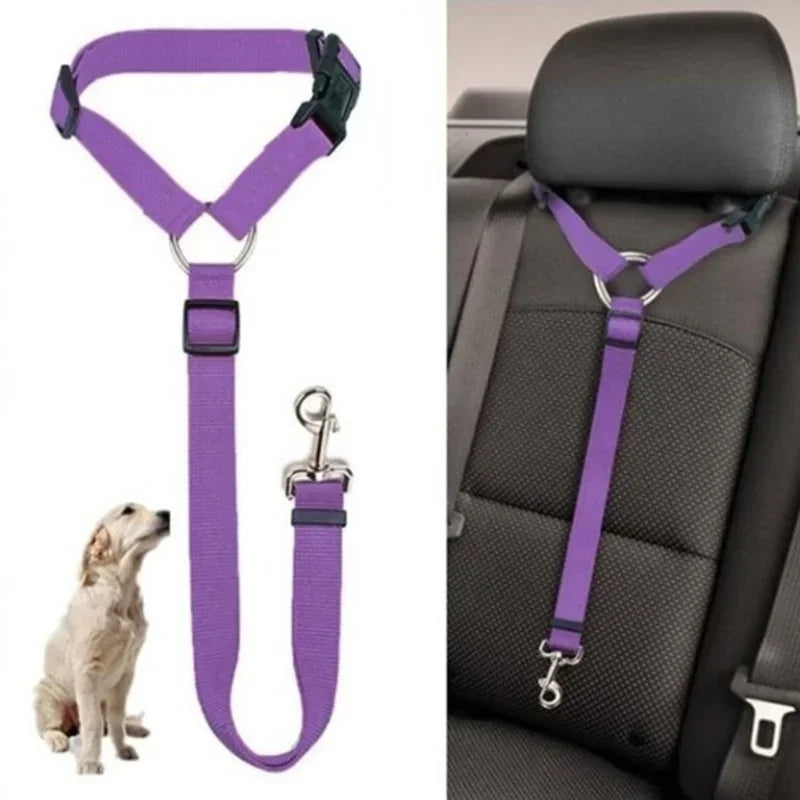 Dog Car Seat Belt and Leash