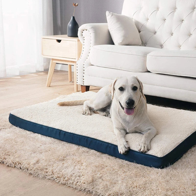 Plush Memory Foam Bed for Large Dog