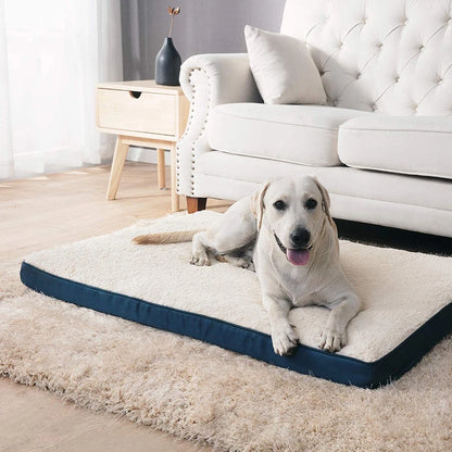 Plush Memory Foam Bed for Large Dog