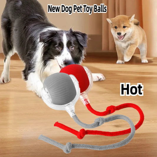 Interactive Dog Toys - Rechargeable Smart Toy