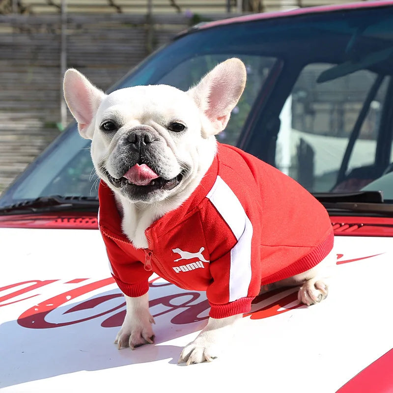 Winter Baseball Dog Jacket