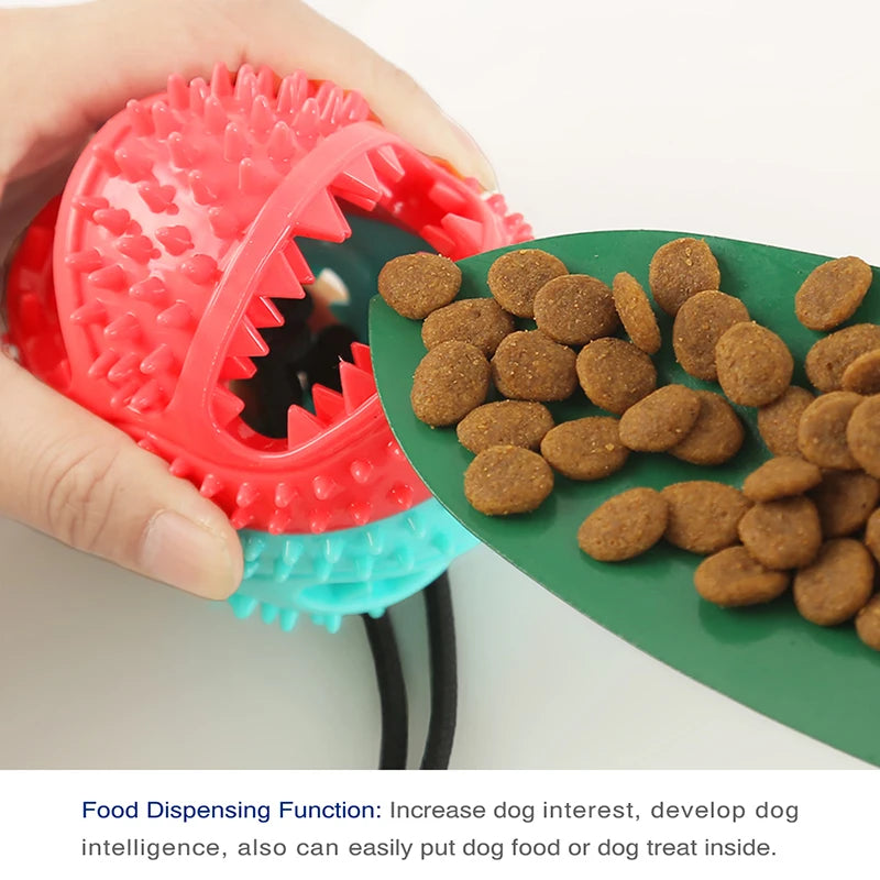 Dog Enrichment Toys - Interactive Chewing and Teeth Cleaning