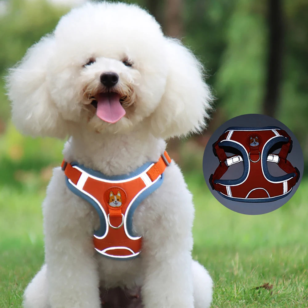 No Pull Dog Harness and Leash Australia