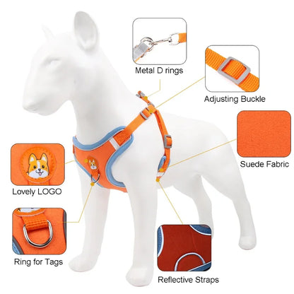 No Pull Dog Harness and Leash Australia