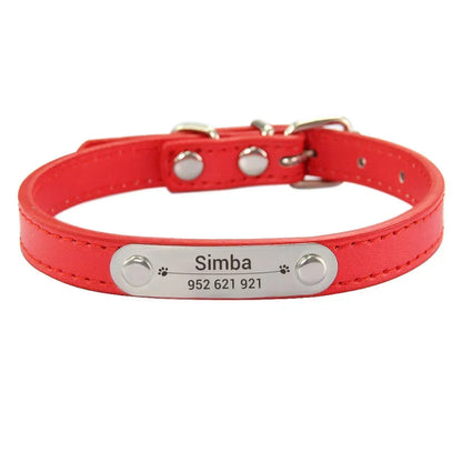 Cat and Dog Collar With Name