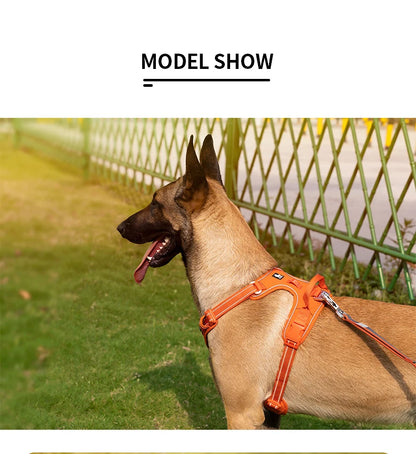 No Pull Dog Harness Australia