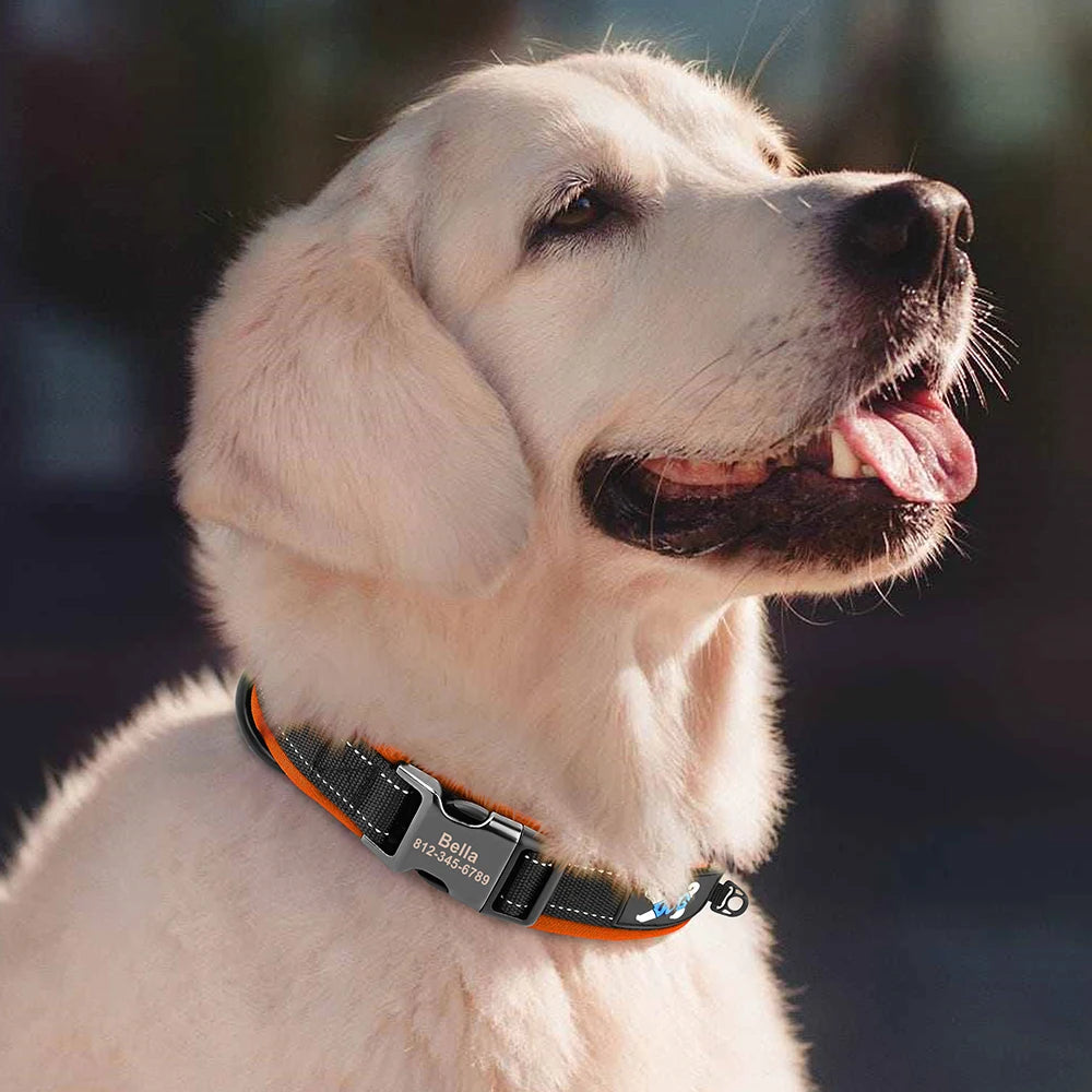 Personalized Reflective Dog Collars