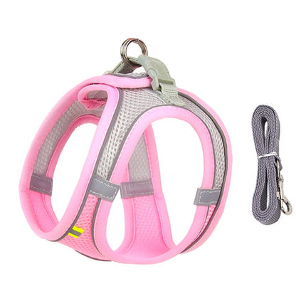 Dog lead and harness combo