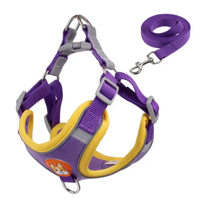 No Pull Dog Harness and Leash Australia