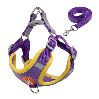 No Pull Dog Harness and Leash Australia