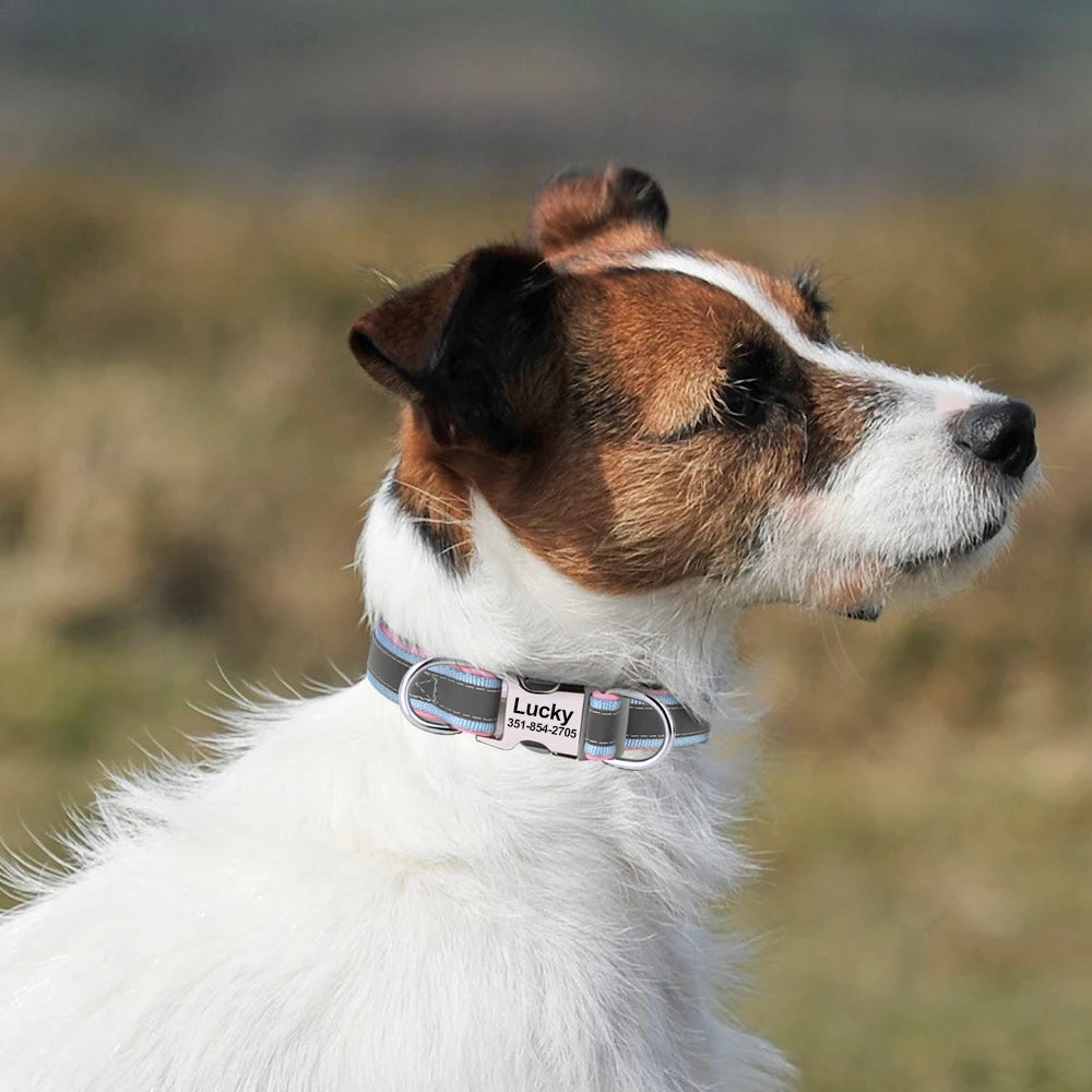 Personalized Reflective Dog Collars